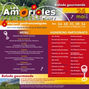 amoriolesweb2015 (3)